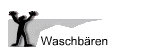 Waschbren